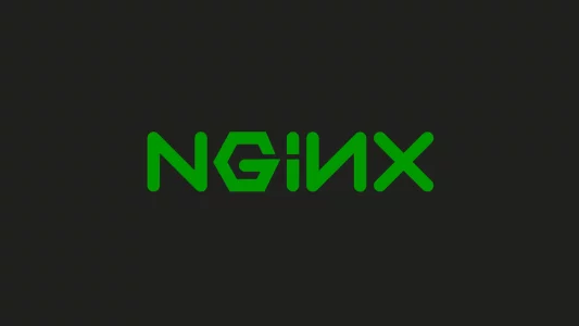 نصب Nginx بر روی دایرکت ادمین - سرور.آی آر