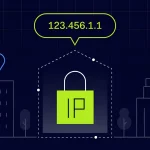 IP چیست؟