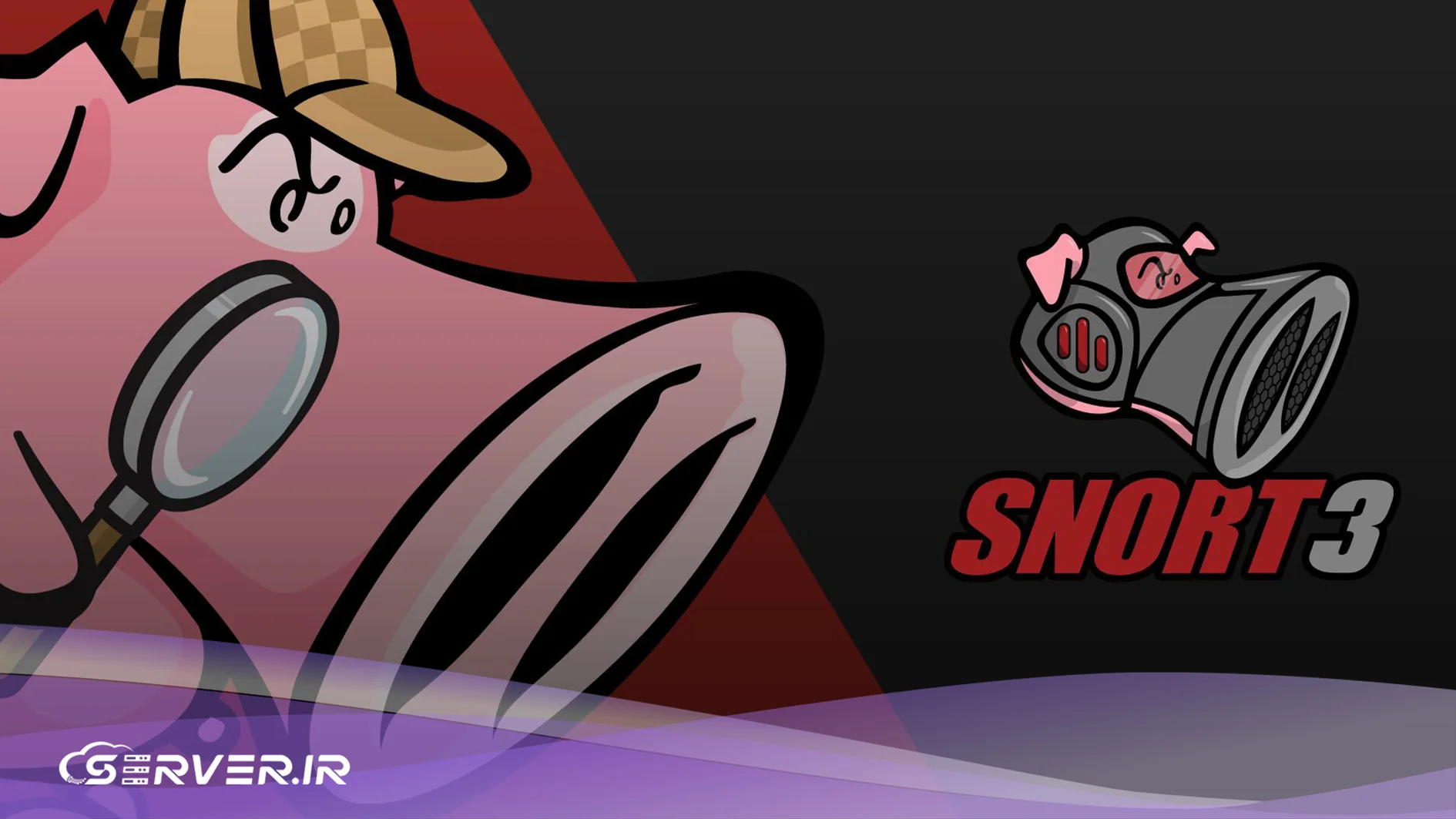 مزایا و معایب snort