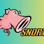 اسنورت (Snort) چیست؟