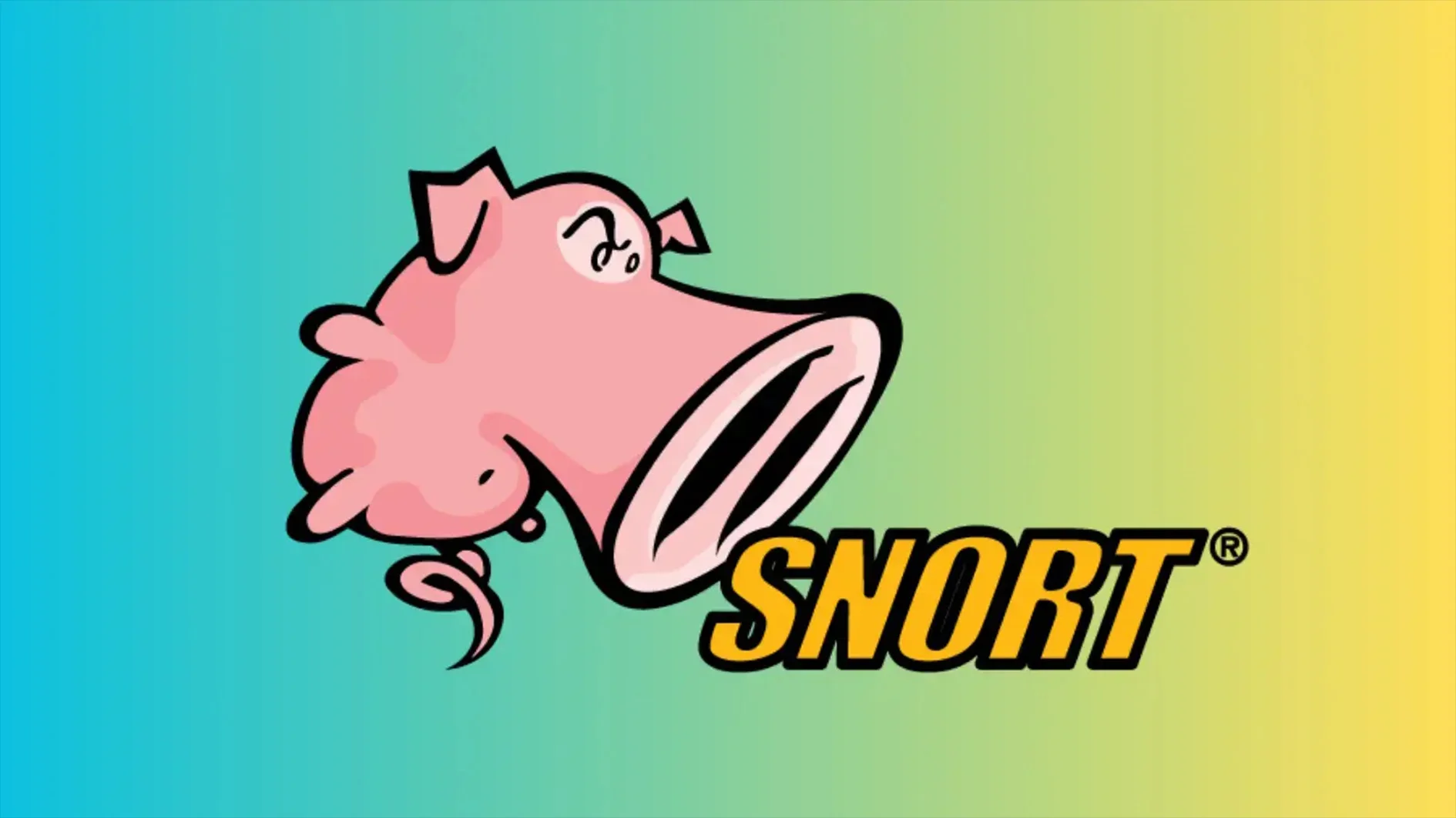 اسنورت (Snort) چیست؟ snort