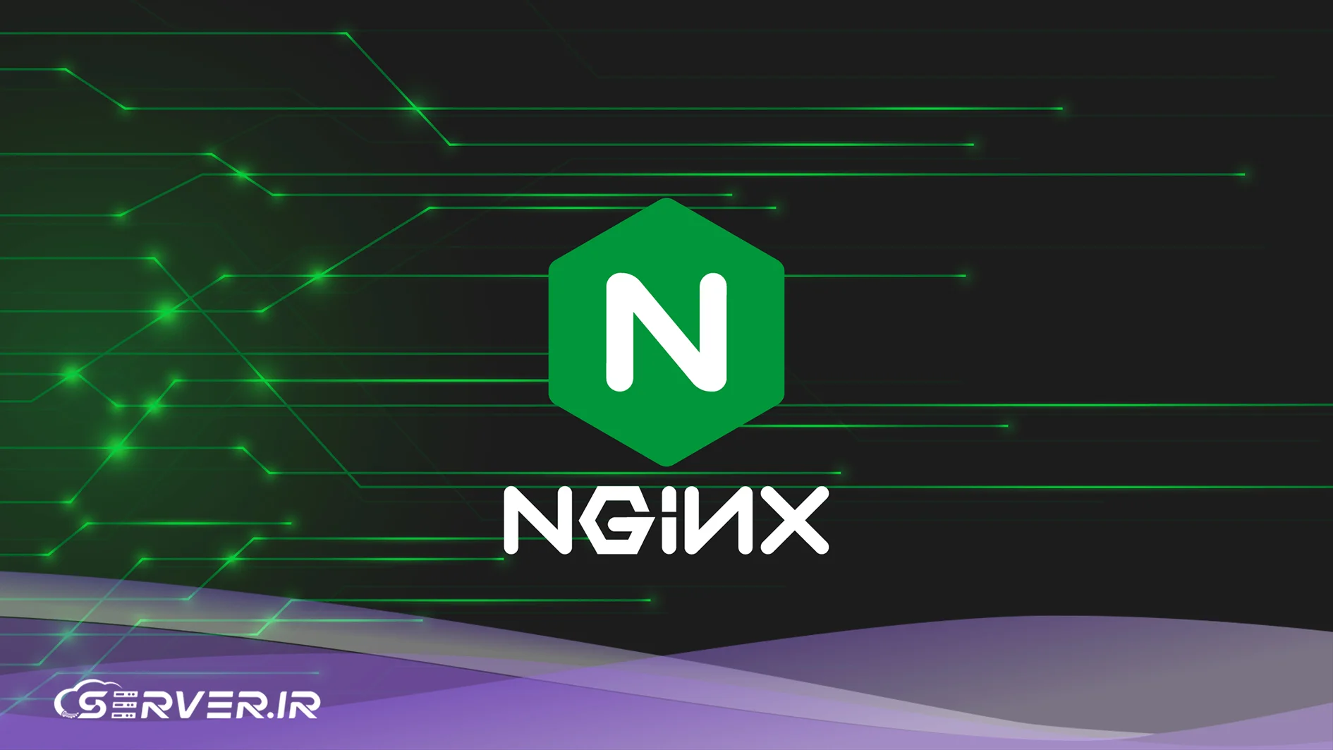 Nginx چیست؟ بررسی تخصصی سریعترین وب سرور دنیا چرا Nginx اینقدر سریع است؟