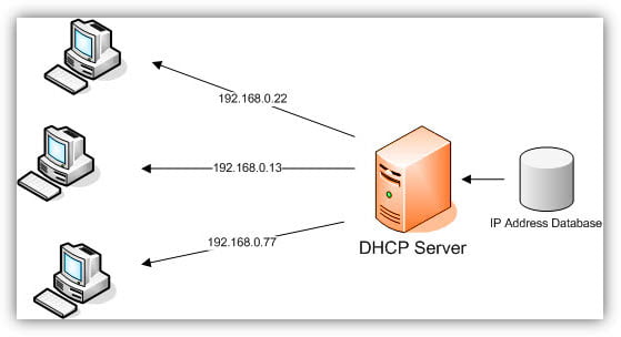 DHCP چیست؟