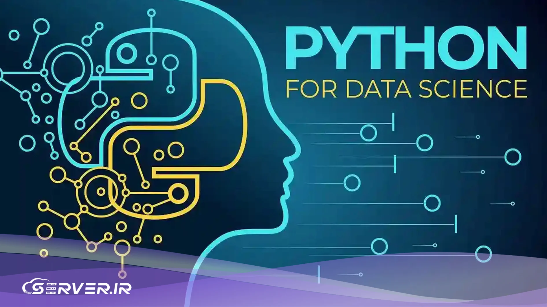زبان برنامه نویسی پایتون چیست؟ راهنمای جامع معماری، ابزارها و کاربردهای Python پایتون و هوش مصنوعی
