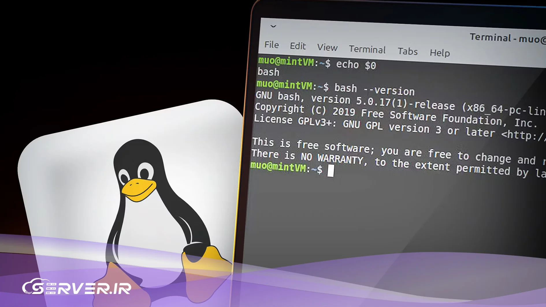 انواع زبان های اسکریپت (Types of Scripting Languages)؛ بررسی تخصصی، کاربردها و مزایا و معایب زبان های اسکریپت : Bash
