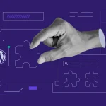 پلاگین چیست ؟ (Plugin)