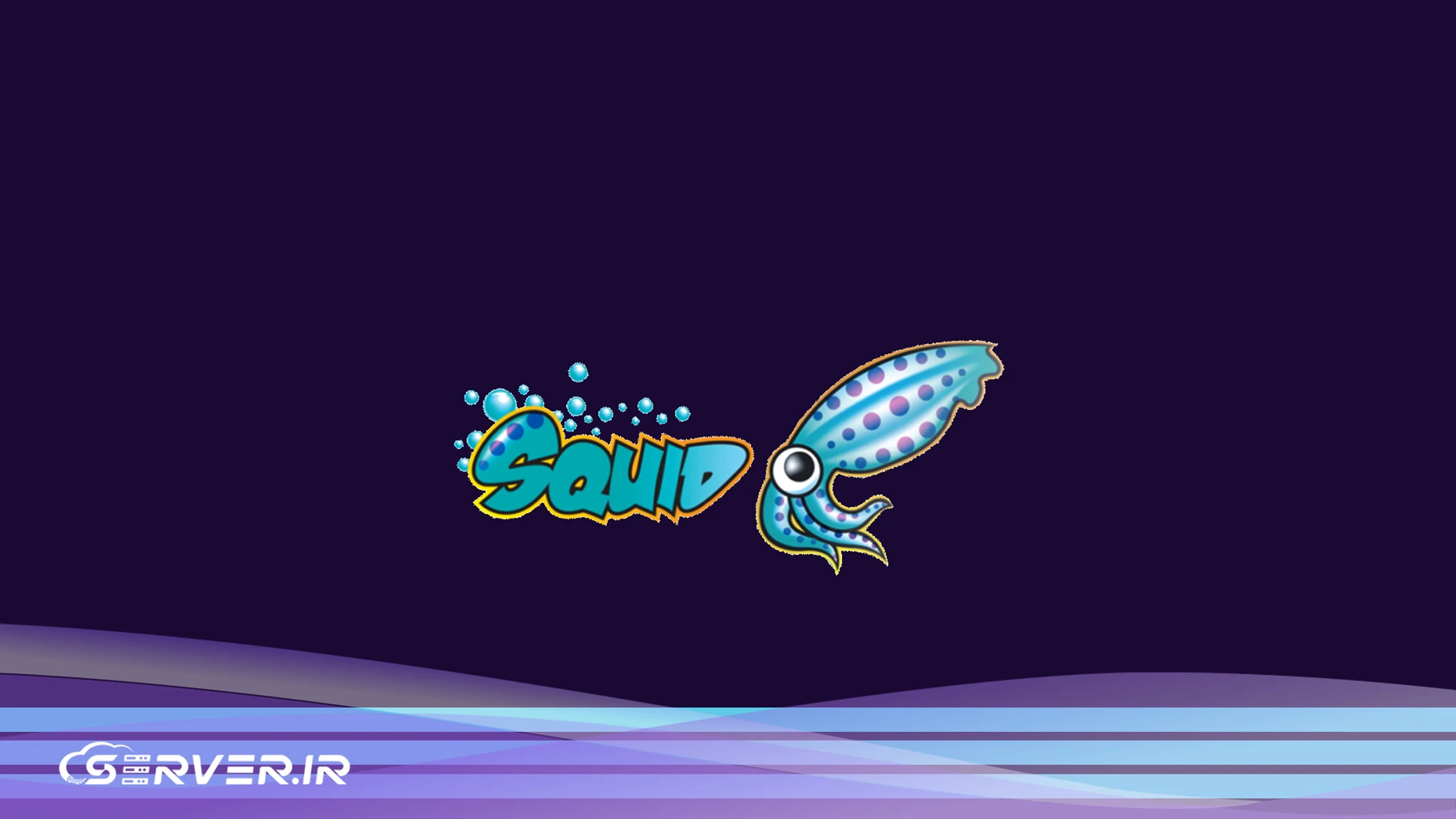 Squid چیست و چه کاربردی دارد؟ روش نصب Squid