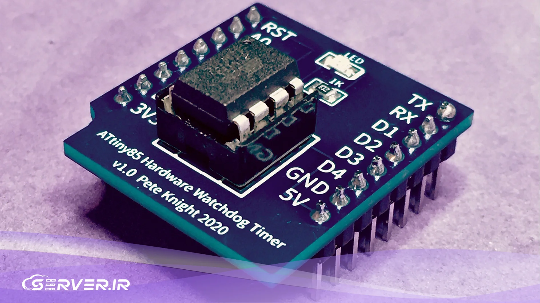 ریست هاست در Watch dog Timer چیست؟