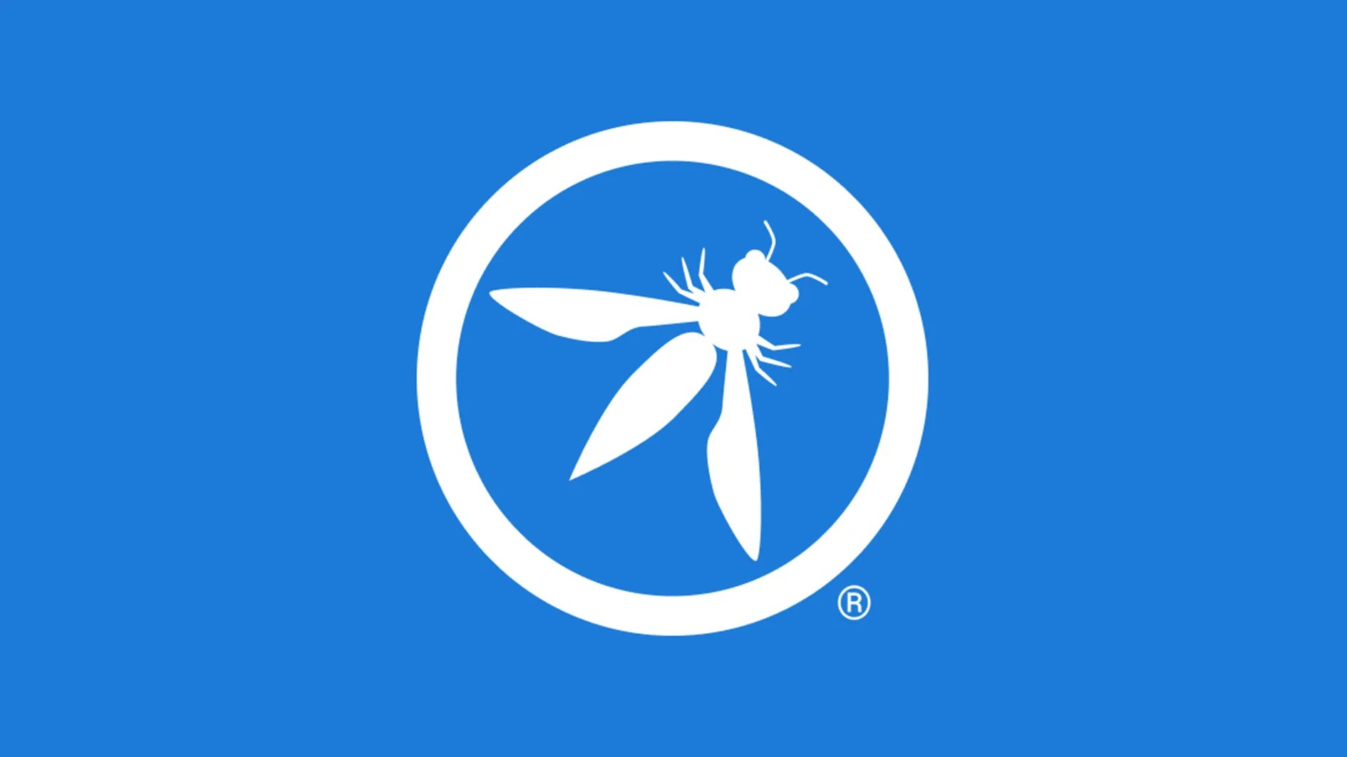 OWASP چیست؟ آشنایی با سازمان و نقش آن در امنیت نرم‌افزار