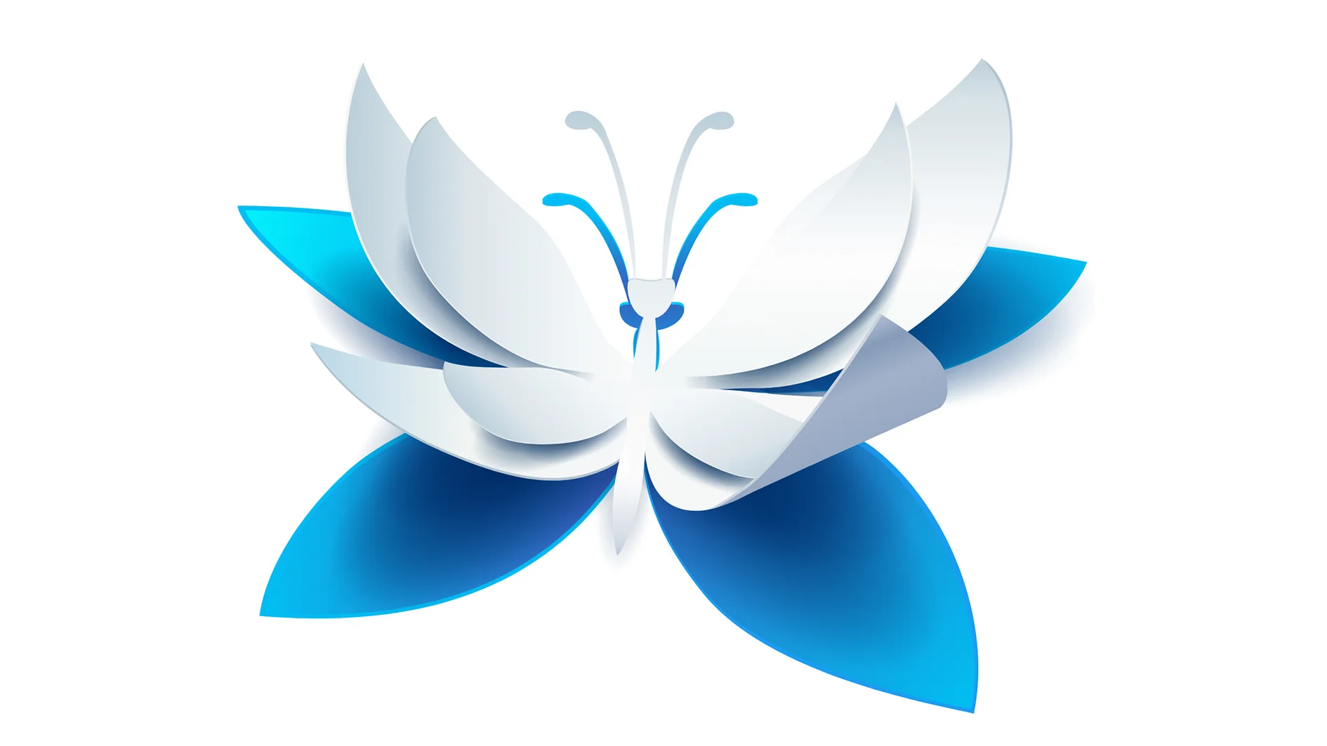 چگونگی نصب Wiki.js بر روی لینوکس نصب Wiki.js
