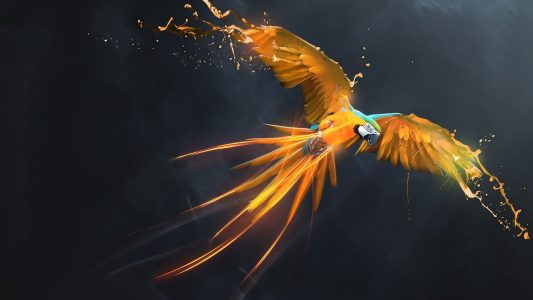 سیستم عامل Parrot Security
