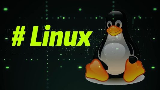 GPU