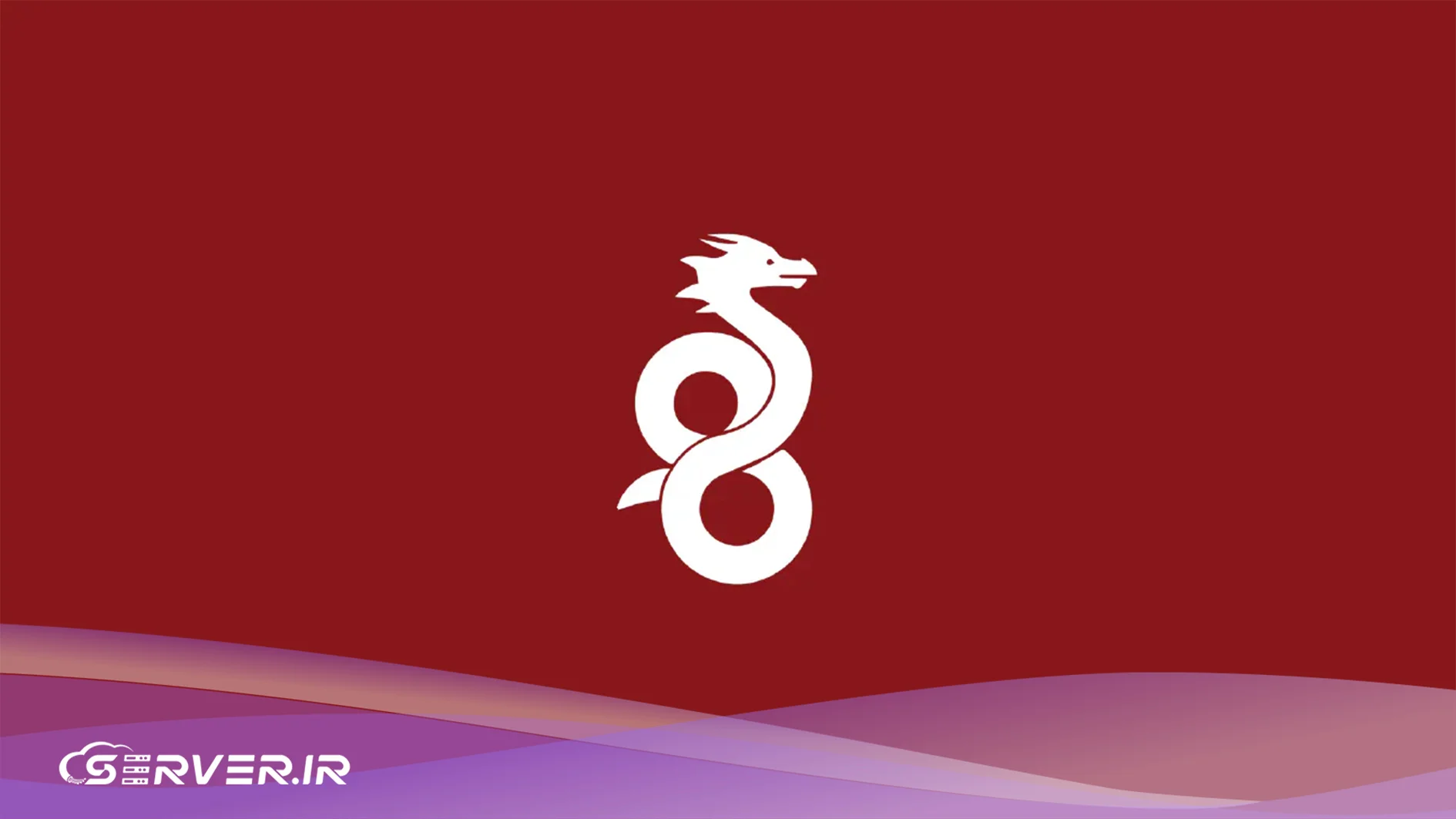 تونل‌زنی Wireguard
