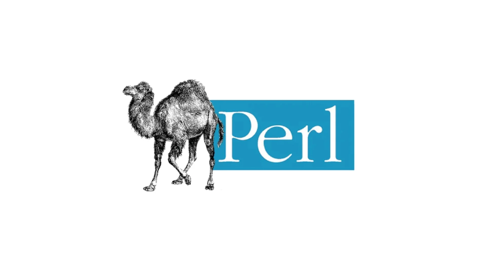 زبان برنامه نویسی Perl چیست؟ راهنمای جامع کاربردها و آموزش زبان پرل زبان برنامه نویسی Perl