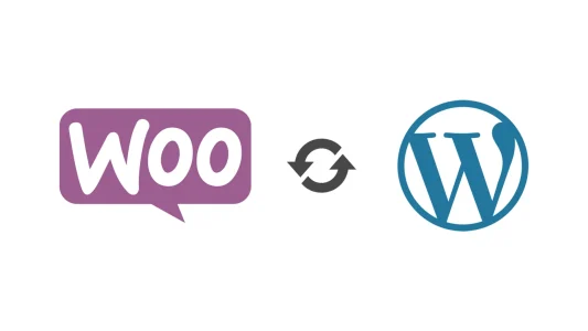 هاست ووکامرس