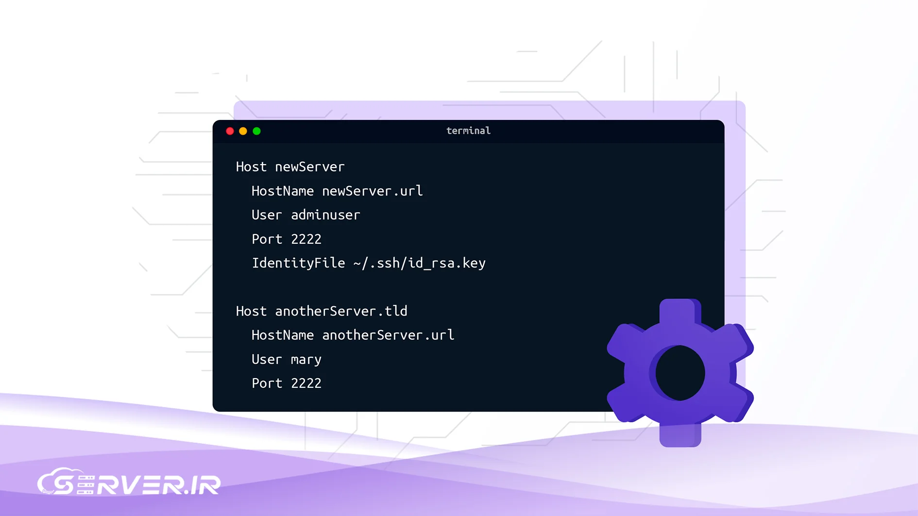 کانفیگ سرور چیست و چگونه روی سرعت، امنیت و پایداری سایت تاثیر میگذارد؟ کانفیگ سرور شامل چه بخش هایی است؟